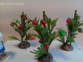 Plant de tomates