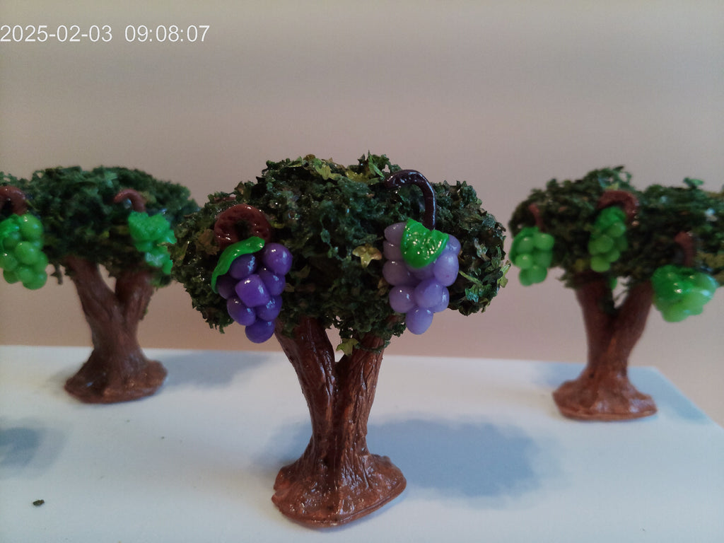 Pied de vigne