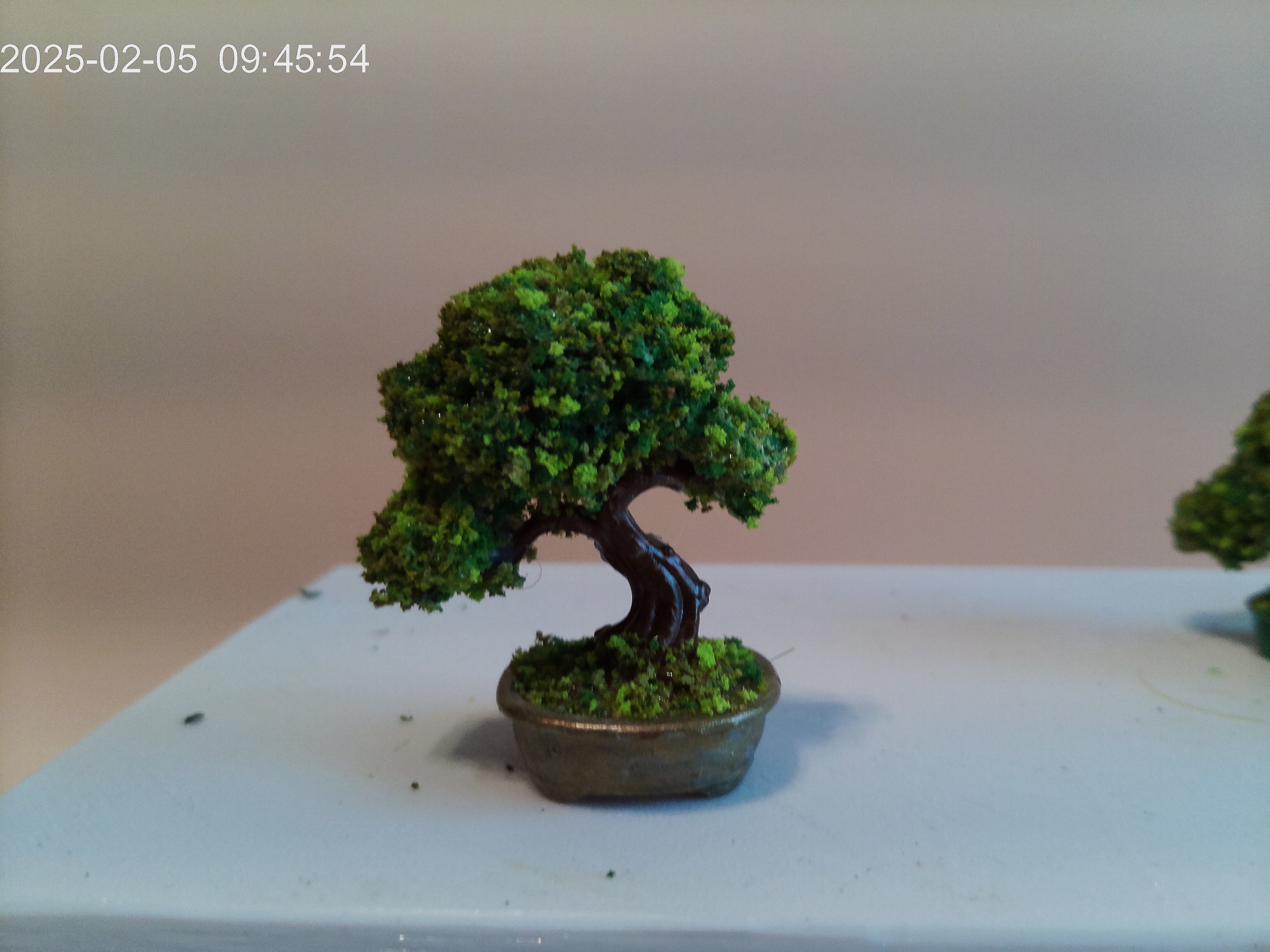 Petit arbre taillé