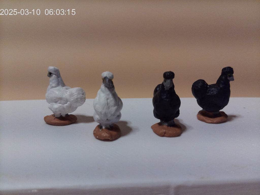 Poules soie