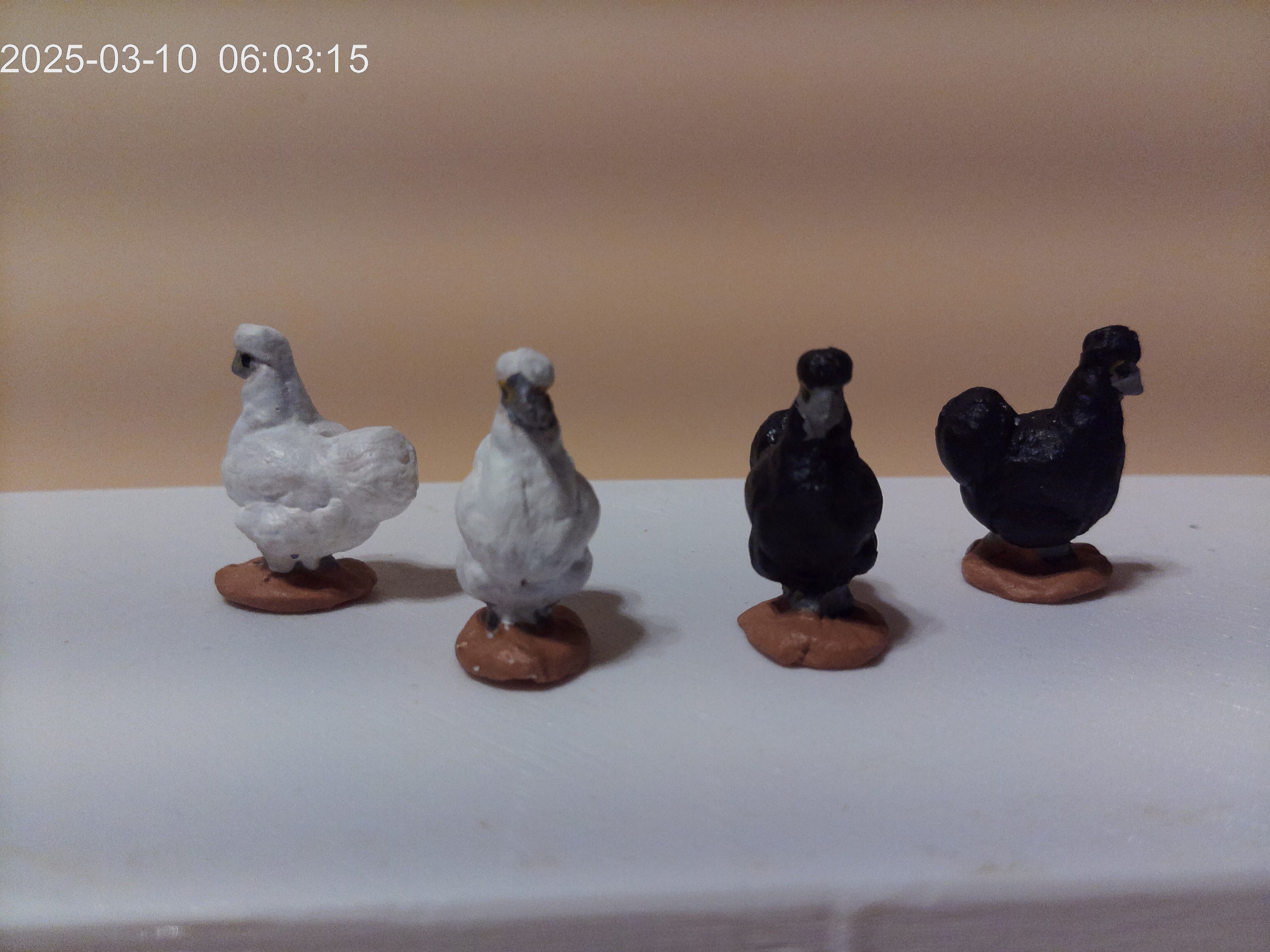 Poules soie