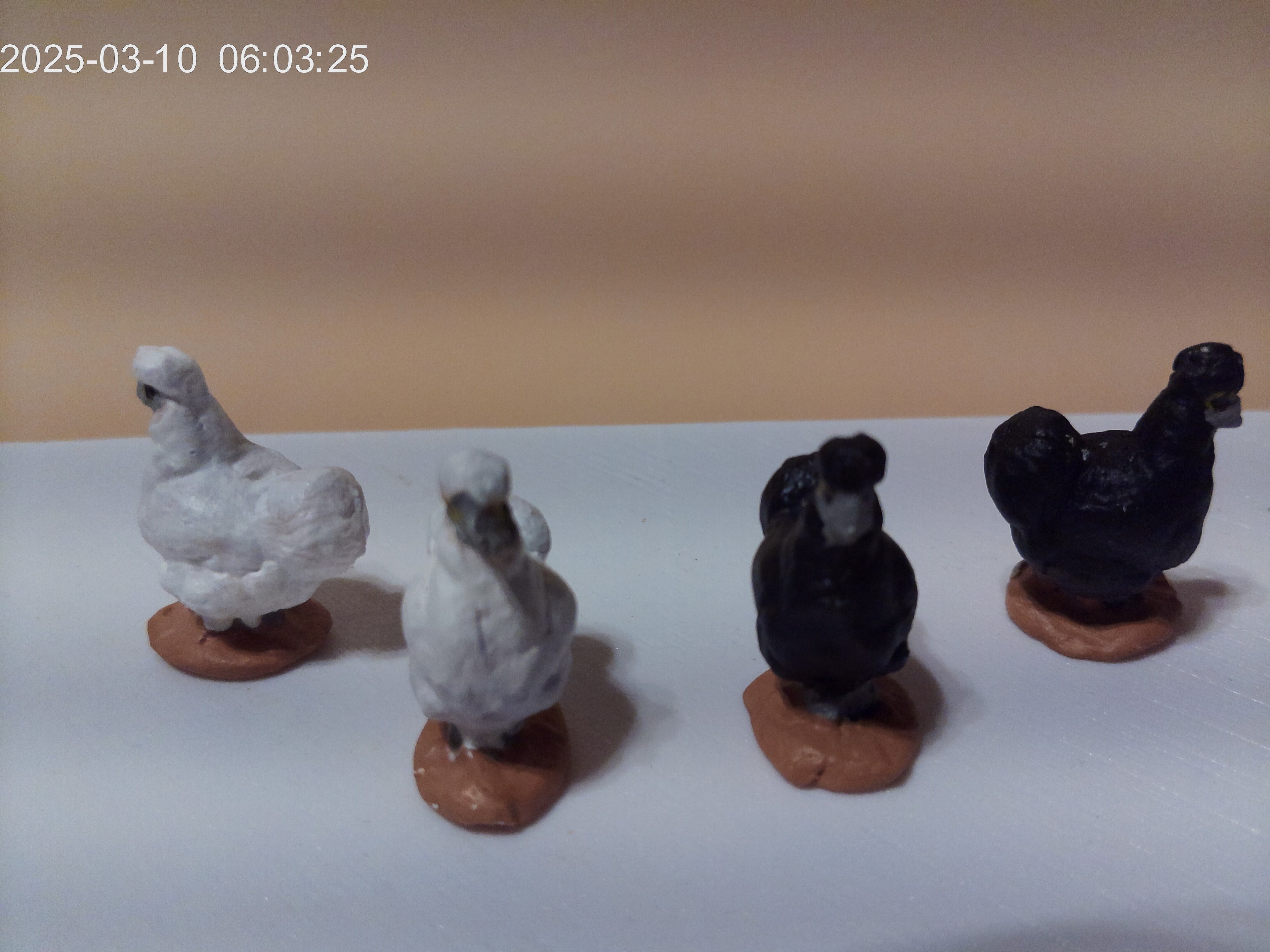Poules soie