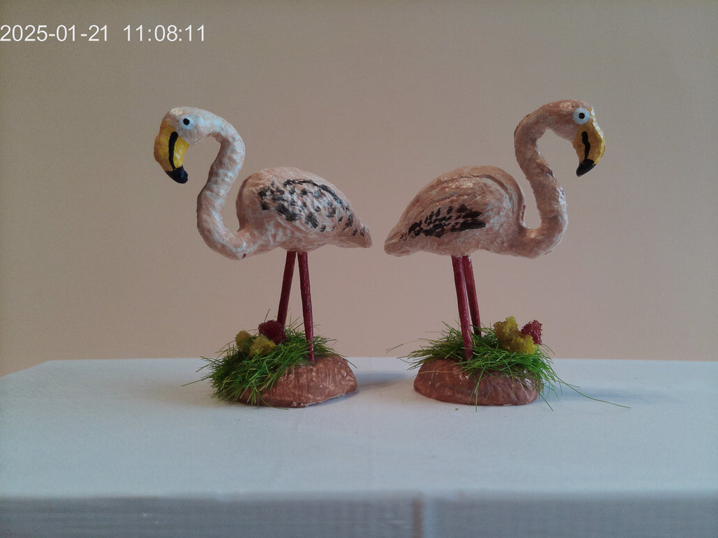 flamant rose
