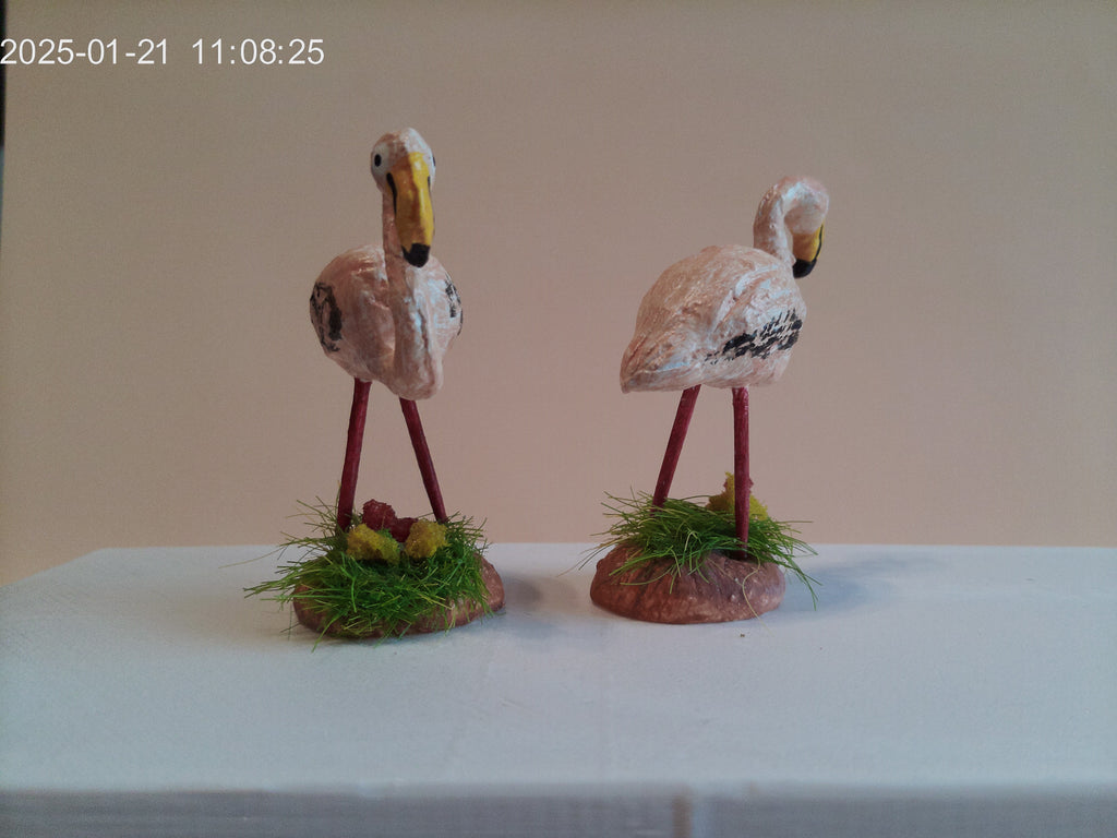 flamant rose