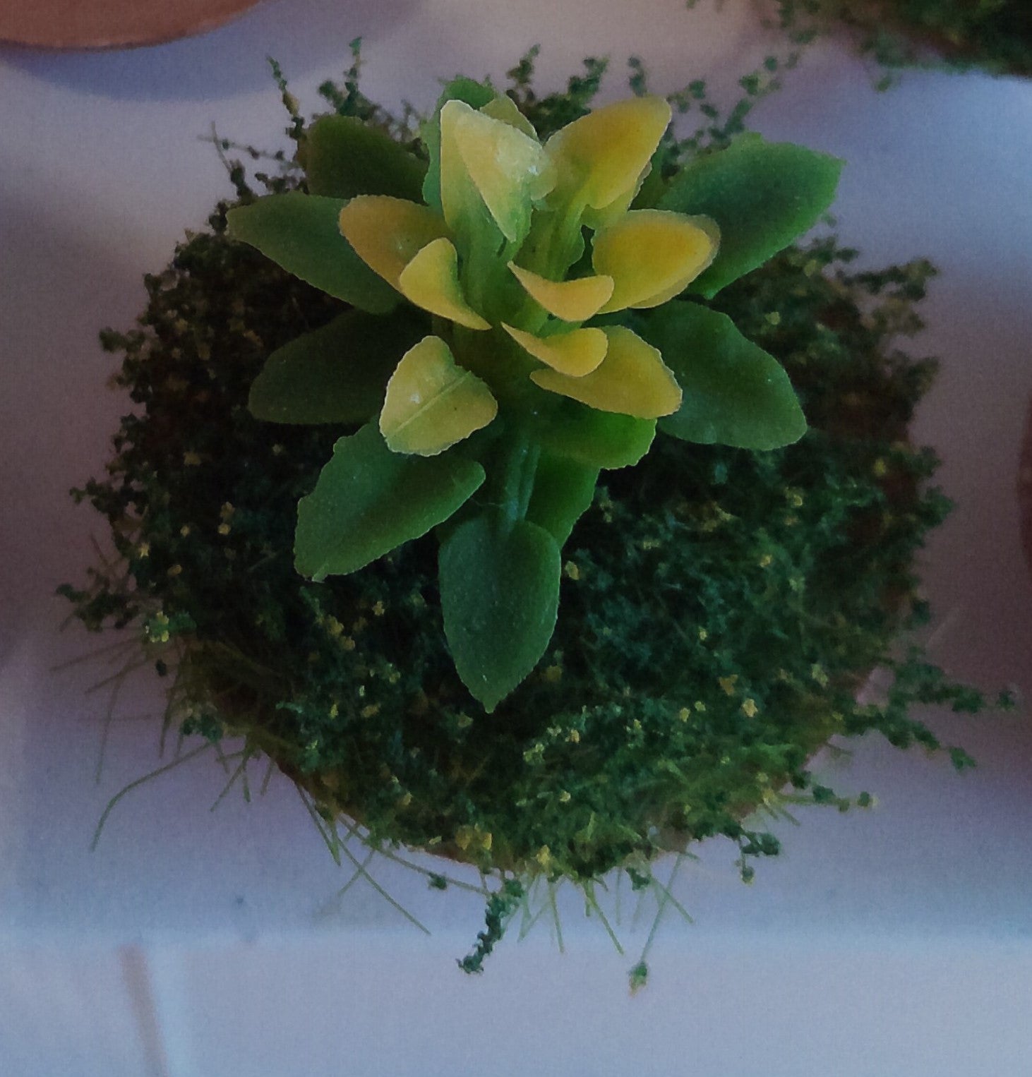 Jardinière Ronde