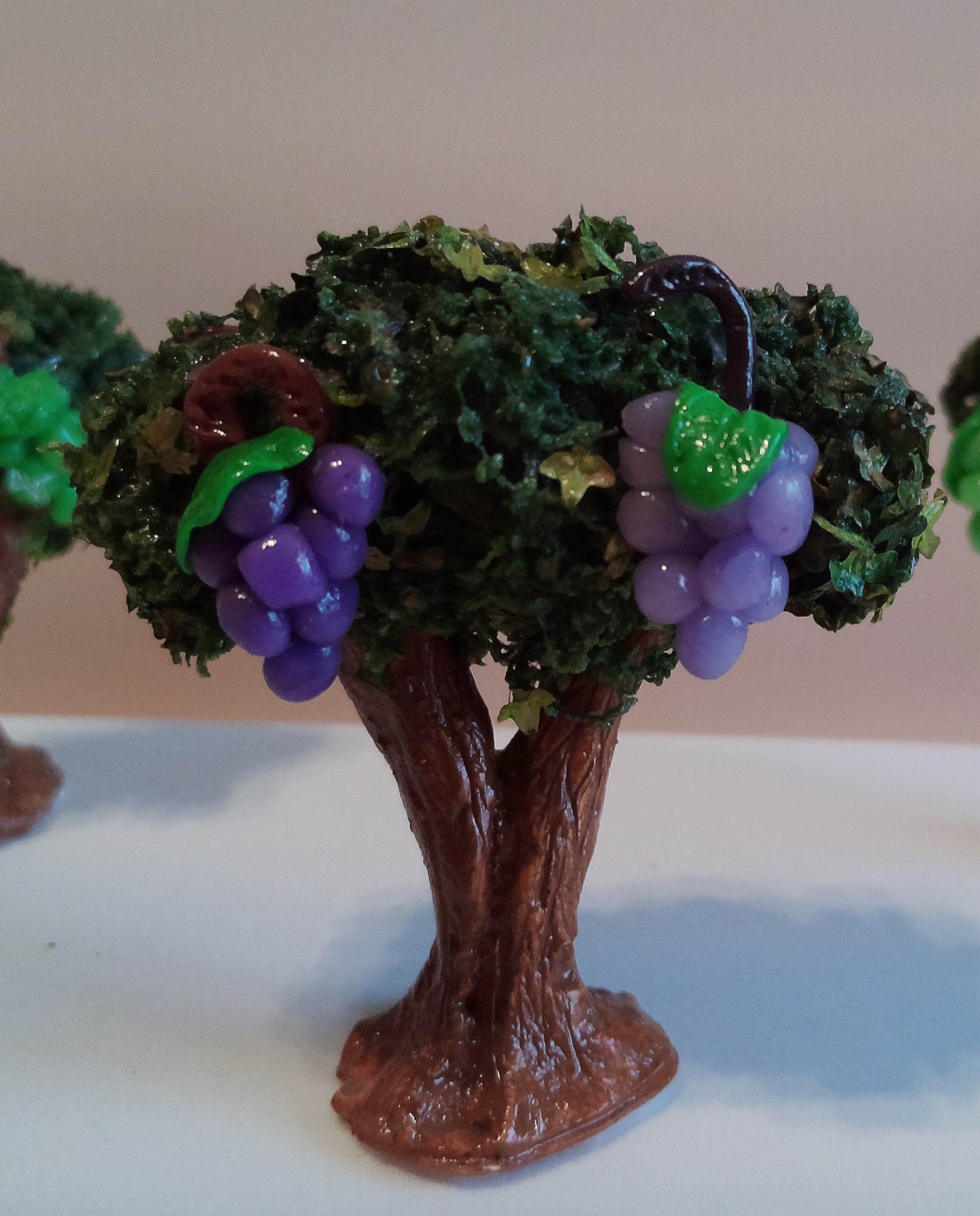 Pied de vigne