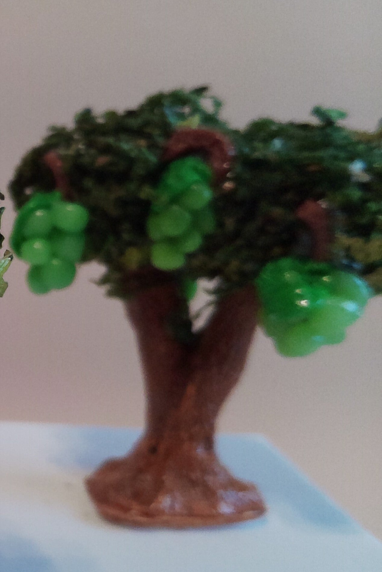 Pied de vigne